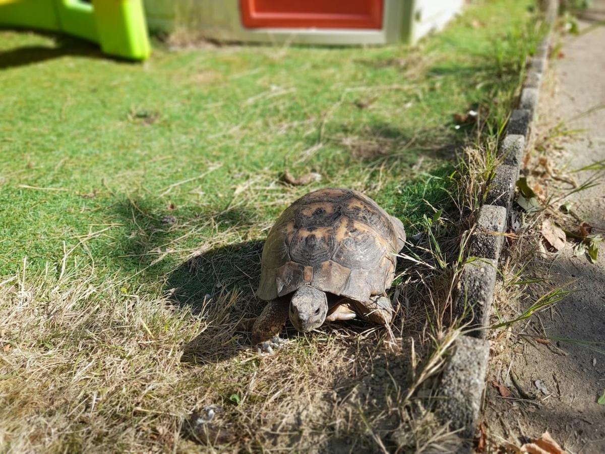 Hébergement de vacances Maison 4 Et Jardin - 5 Minutes Gare Rennes